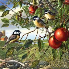 Cross stitch pattern: #519939