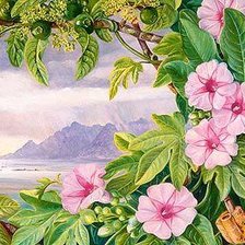 Cross stitch pattern: #519986