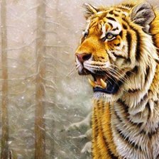 Cross stitch pattern: #520679