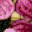 Preview of cross stitch pattern: #520684