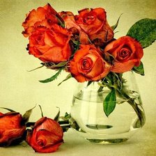 Cross stitch pattern: #520686