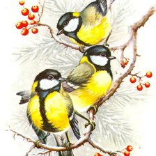 Cross stitch pattern: #520719