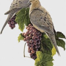 Cross stitch pattern: #520739