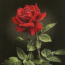 Cross stitch pattern: #521352