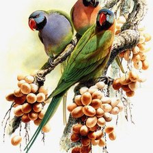 Cross stitch pattern: #521730