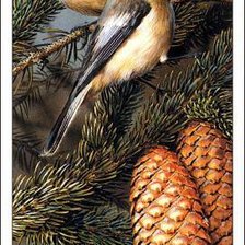 Cross stitch pattern: #521888