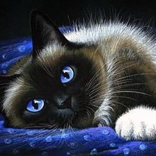 Cross stitch pattern: #521962
