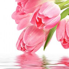 Cross stitch pattern: #522854