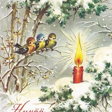 Cross stitch pattern: #522905