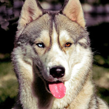 Cross stitch pattern: #523091