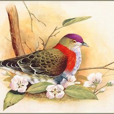 Cross stitch pattern: #523244