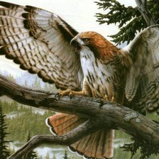 Cross stitch pattern: #523332