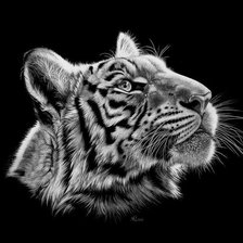Cross stitch pattern: #523339