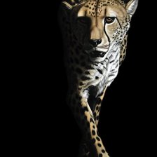 Cross stitch pattern: #523342