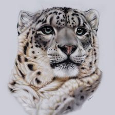 Cross stitch pattern: #523344