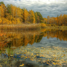 Cross stitch pattern: #523409