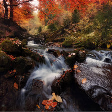 Cross stitch pattern: #523419