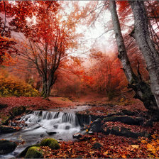 Cross stitch pattern: #523421