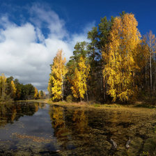 Cross stitch pattern: #523423