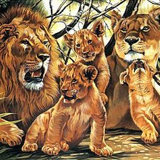 Cross stitch pattern: #523569