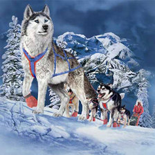 Cross stitch pattern: #524076