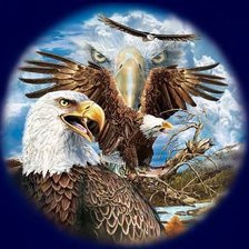 Cross stitch pattern: #524080