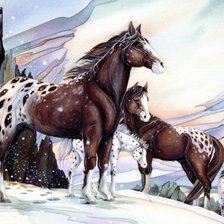 Cross stitch pattern: #524160