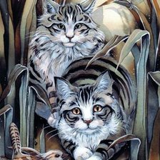 Cross stitch pattern: #524166