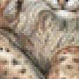Preview of cross stitch pattern: #524207
