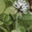 Preview of cross stitch pattern: #524296