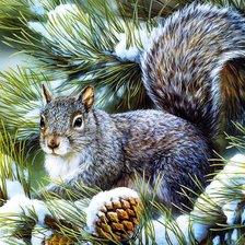 Cross stitch pattern: #524311
