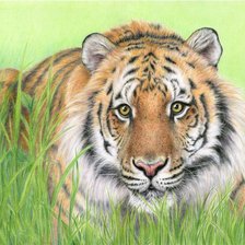 Cross stitch pattern: #524673