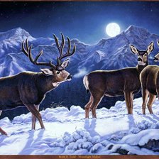 Cross stitch pattern: #524784