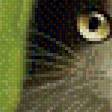 Preview of cross stitch pattern: #524867