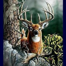 Cross stitch pattern: #524881