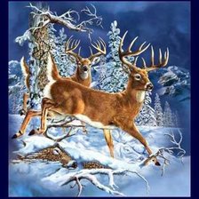 Cross stitch pattern: #524882