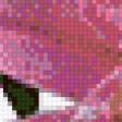 Preview of cross stitch pattern: #525048