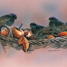 Cross stitch pattern: #525199