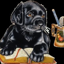 Cross stitch pattern: #525201