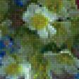 Preview of cross stitch pattern: #525207