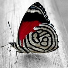 Cross stitch pattern: #525379