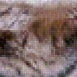 Preview of cross stitch pattern: #525388