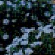 Preview of cross stitch pattern: #525414