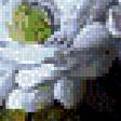 Preview of cross stitch pattern: #525610