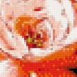 Preview of cross stitch pattern: #525617