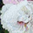 Preview of cross stitch pattern: #525641