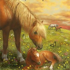 Cross stitch pattern: #525650