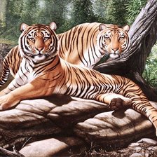 Cross stitch pattern: #526049