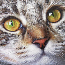 Cross stitch pattern: #526128