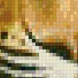Preview of cross stitch pattern: #526639